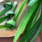 Pandan