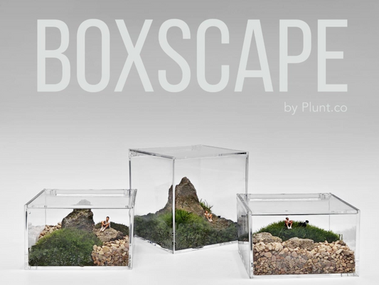 Plunt Co - Boxscape Workshop: Create Your Own Tiny World