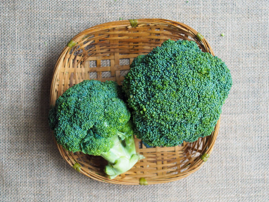 Australia Premium Broccoli 澳大利亚西兰花