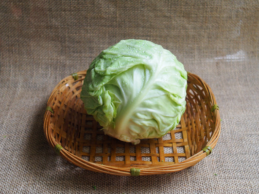 Beijing Cabbage 北京包菜