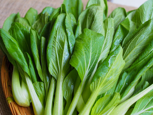 Local Bak Choy 小白菜