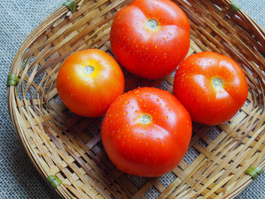 Cameron Highlands Tomatoes 金马伦高原番茄