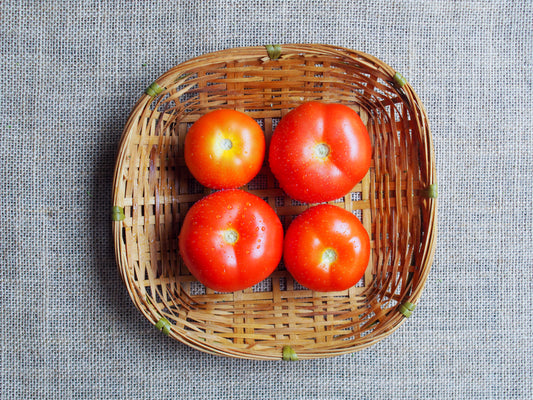 Cameron Highlands Tomatoes 金马伦高原番茄