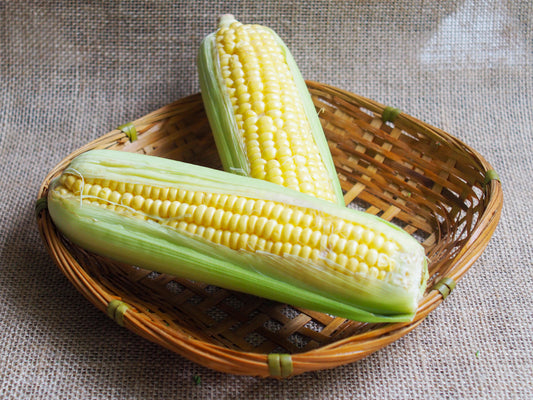 Cameron Highlands Sweet Corn 金马伦高原玉蜀黍