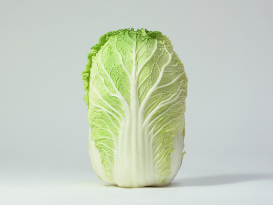 Napa Cabbage 大白菜